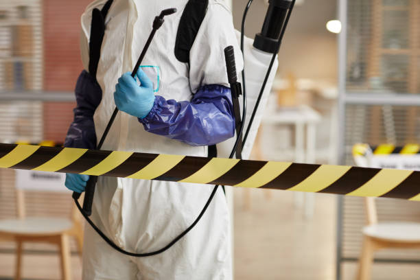 Professional Biohazard technician working in Hollis Center, ME